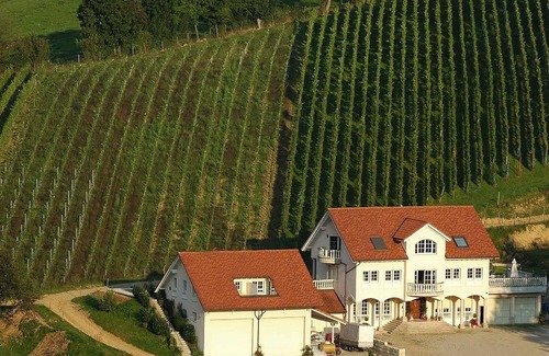 Au Apartment | Ferienwohnung 45qm, 2-Zimmerwohnung, max. 3 Personen