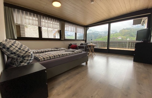 Loecherberg Condo | Ferienwohnung am Braunberg im Schwarzwald