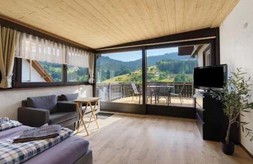 Loecherberg Apartment | Ferienwohnung am Braunberg