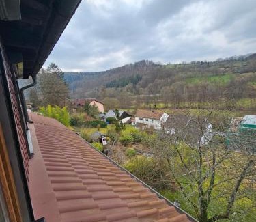 Bad Konig Apartment | Ferienwohnung am Heuberg