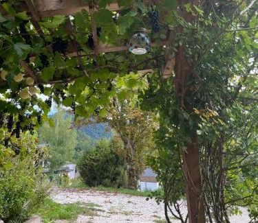Bad Ischl Apartment | Ferienwohnung Am Jodlerweg