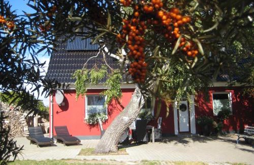Markgrafenheide Apartment | Ferienwohnung am Meer