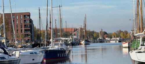 Steinbeckervorstadt Apartment | Ferienwohnung am Yachthafen - 16