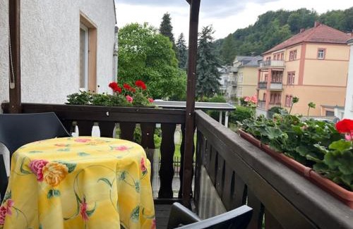 Stadt Wehlen Apartment | Ferienwohnung an der Rosenstraße