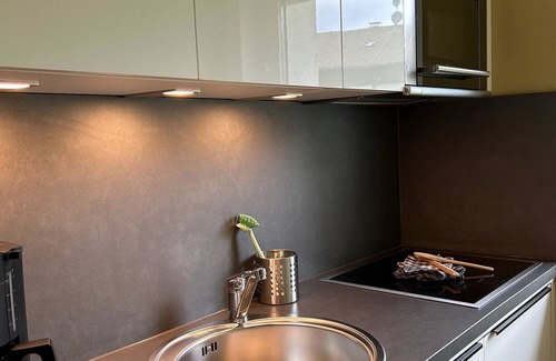 Oberaudorf Apartment | Ferienwohnung/app. für 4 Gäste mit 55m² in Oberaudorf