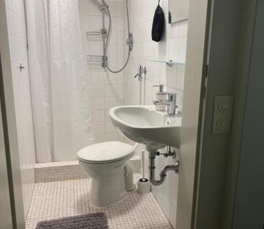 Kaiserslautern Apartment | Ferienwohnung auf dem Betzenberg