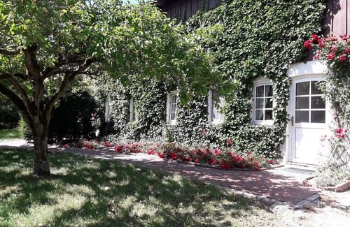 Garding Apartment | Ferienwohnung auf dem Land in Garding für 4 Personen