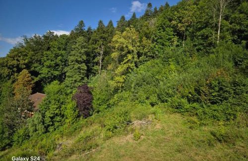 Bad Wildbad Apartment | Ferienwohnung Ausblick