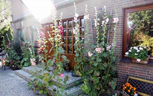 Burg auf Fehmarn Apartment | Ferienwohnung-bei-Familie-Kuehl
