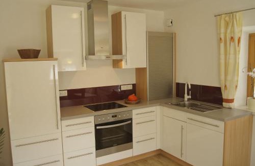 Filzmoos Apartment | Ferienwohnung Bergblick