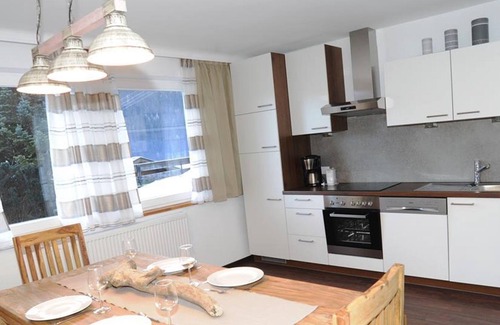 Trins Apartment | Ferienwohnung Bergler