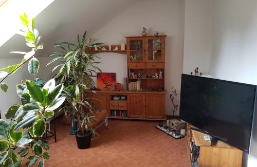 Werder Apartment | Ferienwohnung Blütenstadt Werder-Havel