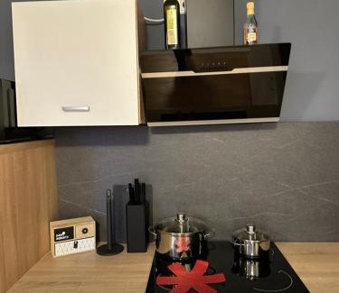 Plauen Apartment | Ferienwohnung BX
