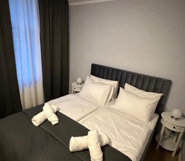 Plauen Apartment | Ferienwohnung BX