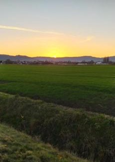 Salzhemmendorf Apartment | Ferienwohnung Colin im schönen Weserbergland Nähe Freizeitpark