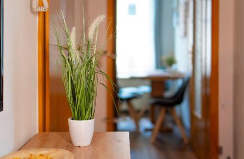 Rathmannsdorf Apartment | Ferienwohnung Cordula