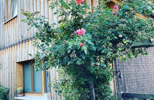 Weiler im Allgau Apartment | Ferienwohnung am Kräutergärtchen
