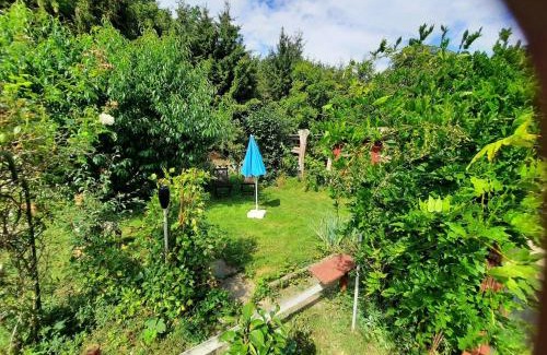 Bad Harzburg Apartment | Ferienwohnung-Eldorstal-2-Urlaub-mit-Hund-in-Bad-Harzburg