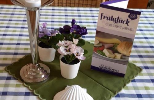 Papenburg Apartment | Ferienwohnung Elfriede