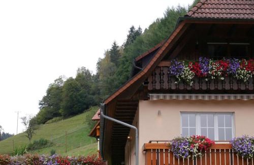 Wolfach - Saint Roman Apartment | Ferienwohnung Eulennest