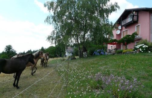Neureichenau Apartment | Ferienwohnung für 2 Personen ca 40 m in Neureichenau, Bayerischer Wald