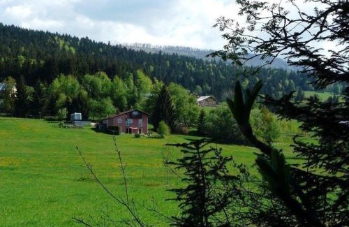 Neureichenau Apartment | Ferienwohnung für 2 Personen ca 40 m in Neureichenau, Bayerischer Wald