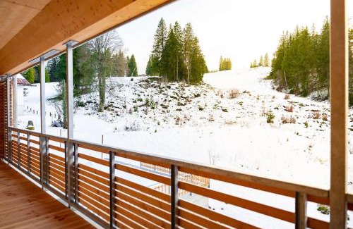 Feldberg Apartment | Ferienwohnung Feldberg Schwarzwald