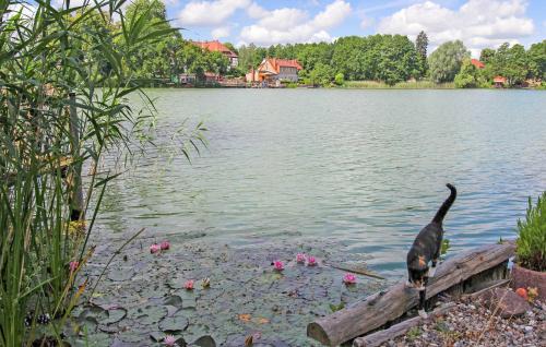 Feldberger Seenlandschaft Apartment | Ferienwohnung Feldberger