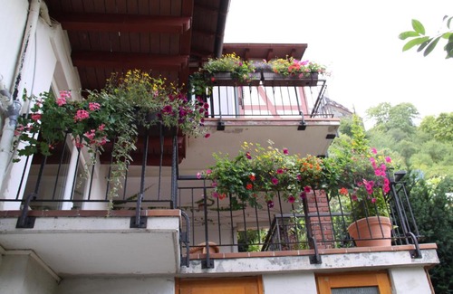Mainz-Bingen Apartment | Ferienwohnung Feldhege