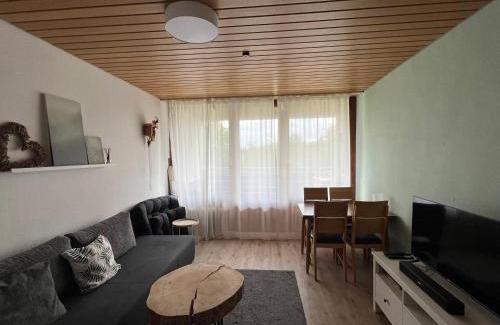 Kniebis Apartment | Ferienwohnung Fichtenblick