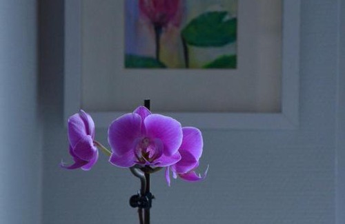 Mainz-Bingen Apartment | Ferienwohnung Germaniablick