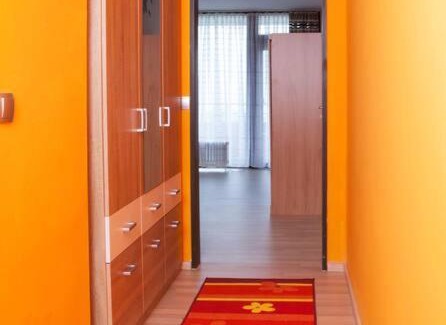 Geyersberg Apartment | Ferienwohnung Geyersberg