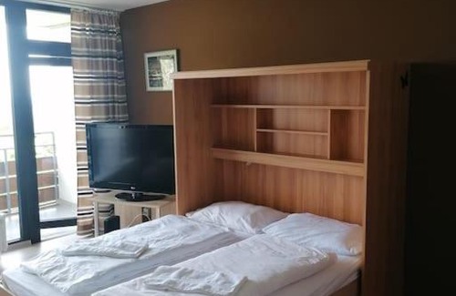 Geyersberg Apartment | Ferienwohnung Geyersberg
