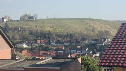 Sankt Andreasberg Apartment | Ferienwohnung Hangblick