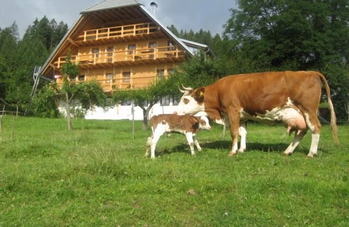 Schonach im Schwarzwald Apartment | Ferienwohnung Heubühne, 50 qm, 1 Schlafzimmer, 1 Wohnschlafzimmer, Max. 4 Personen