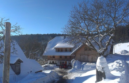 Schonach im Schwarzwald Apartment | Ferienwohnung Heubühne, 50 qm, 1 Schlafzimmer, 1 Wohnschlafzimmer, Max. 4 Personen