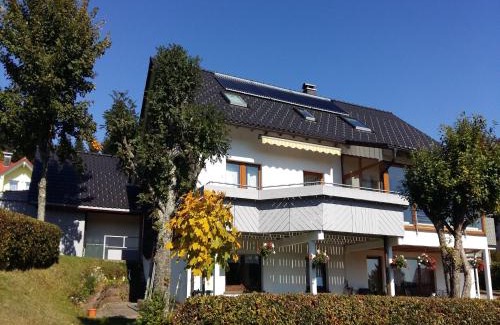 Kniebis Apartment | Ferienwohnung im malerischen Kniebis, cleaning included
