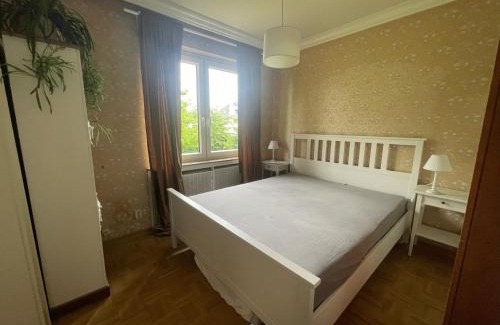 Bad Pyrmont Apartment | Ferienwohnung im Obstgarten