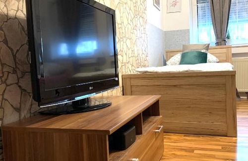 Mainz-Bingen Apartment | Ferienwohnung in Binger Stadtmitte