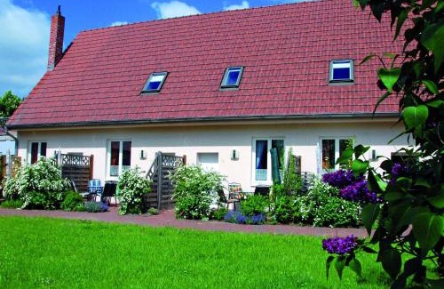 Muritz Apartment | Ferienwohnung in der Mecklenburger Seenplatte