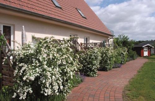 Muritz Apartment | Ferienwohnung in der Mecklenburger Seenplatte