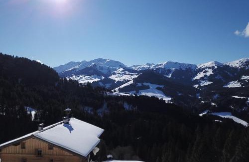 Wildschoenau Apartment | Ferienwohnung in Panorama Alleinlage Kitzbüheler AlpenWILD63 by FeWo-Plan