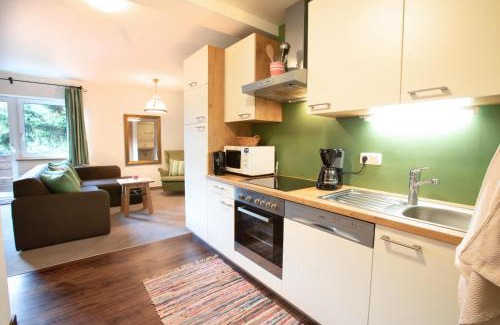 Konigsleiten Apartment | Ferienwohnung Königsleiten 3 Top 5