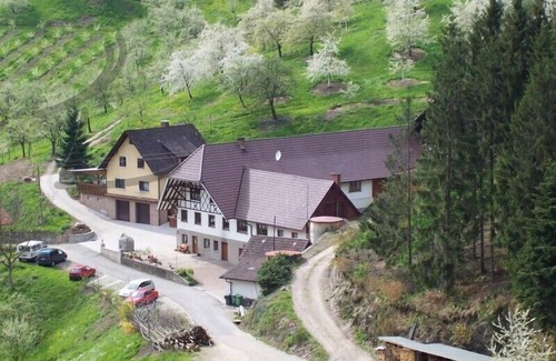 Lautenbach Apartment | Ferienwohnung Kirschzauber, 65qm, 2 Schlafzimmer, 1 Wohn-/Schlafzimmer, max. 4 Personen