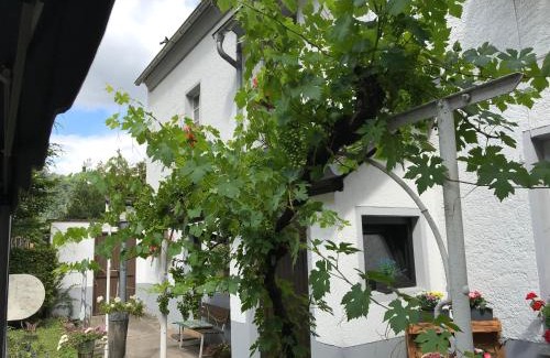 Lahnstein Apartment | Ferienwohnung Lahnmündung
