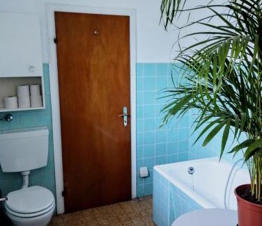 Alsenz Apartment | Ferienwohnung Lenz