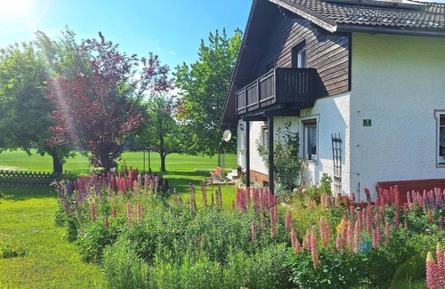 Frauenau Apartment | Ferienwohnung mit Balkon