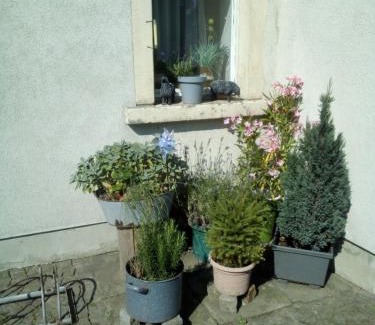 Bretnig Apartment | Ferienwohnung Monteurzimmer Bretnig WiFi Waschmaschine Parklpatz kostenlos