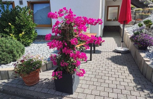 Alken Apartment | Ferienwohnung Moselzeit - Ferienwohnung mit Freisitz
