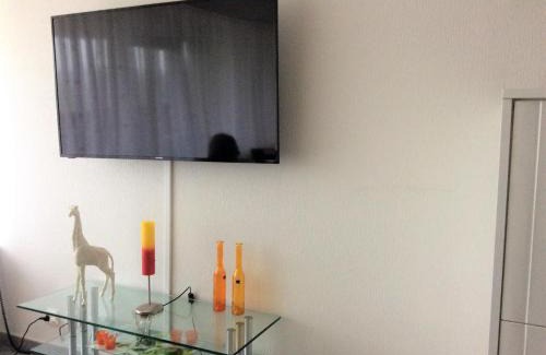 Hohegeiß Apartment | Ferienwohnung PanoramicHarz App459